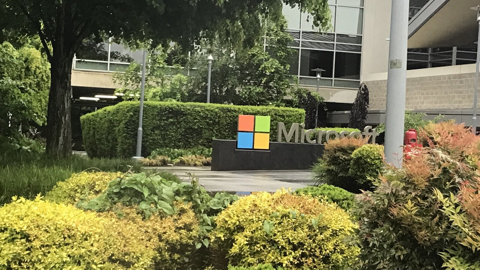 O vírus mora na pasta que o antivírus não olha: invasores usam as exclusões do Microsoft Defender para se esconder